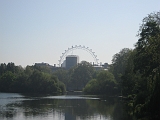 St. James Park London Eye